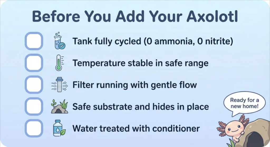 Pro Tips and Final Axolotl Tank Checklist