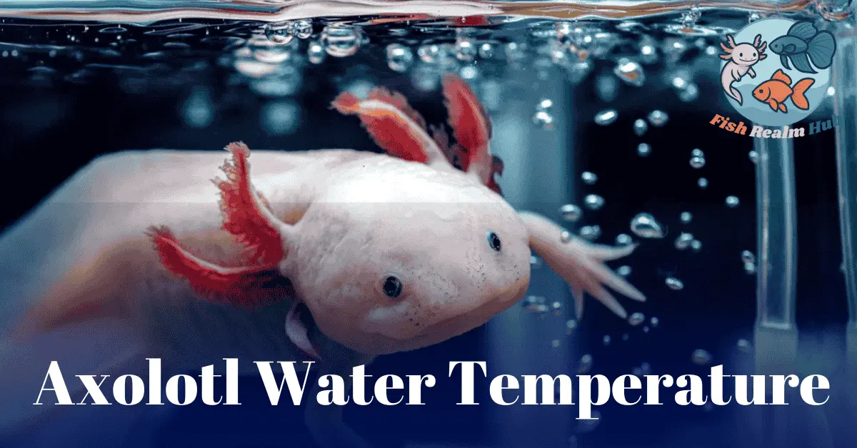 Axolotl Water Temperature