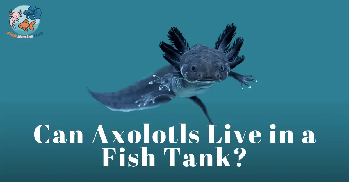 Can Axolotls Live in a Fish Tank?