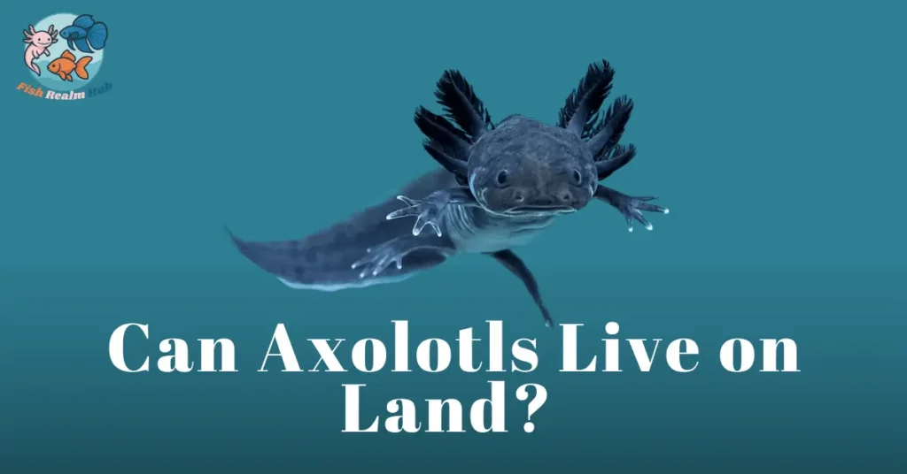 Can Axolotls Live on Land