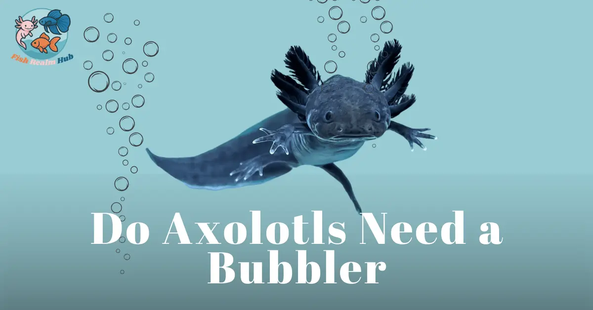 Do Axolotls Need a Bubbler